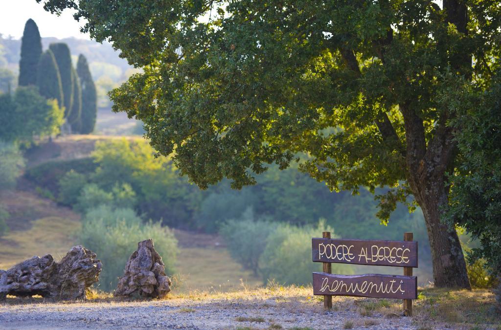 Agriturismo Podere Alberese อัสเชียโน ภายนอก รูปภาพ